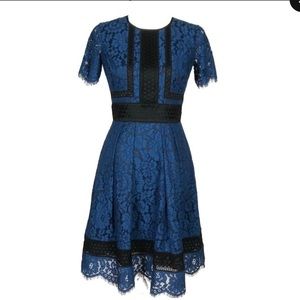 Eliza J Dress Size 6 Black Blue Like New